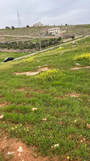 Residential Land for Sale in Amman Shafa Badran