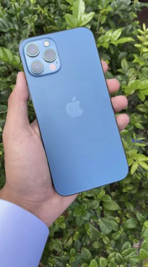 Apple iPhone 12 Pro Max 256 GB in Hebron