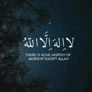 mohammad 