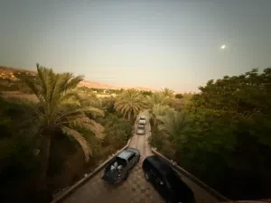 للبيع مزرعة فاخرة في الشونه الجنوبية – منطقة زياده