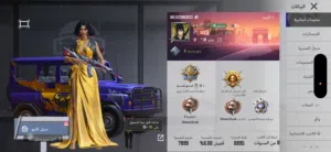 Pubg Accounts and Characters for Sale in Basra