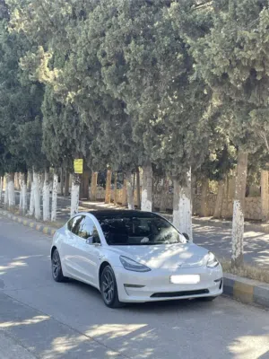 Tesla model 3 long range (dual motor)2020