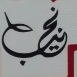 نجيب الباشا 