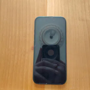 Apple iPhone 13 128 GB in Salt