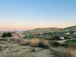 Mixed Use Land for Sale in Zarqa Sarout
