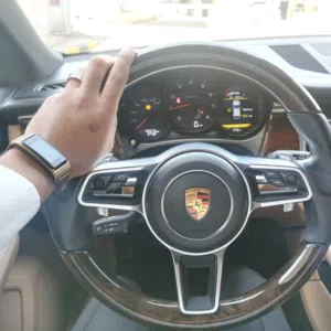 منير الموالي ابو امير