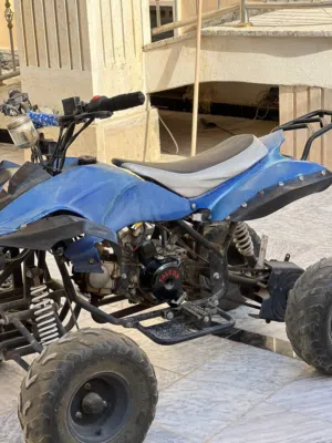 موطو كزيوني