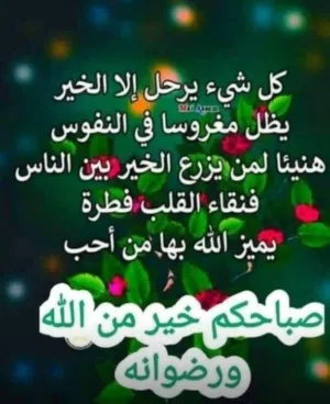 فرشة تقرحلت