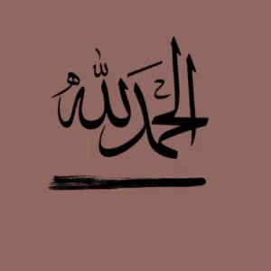 shbibi 