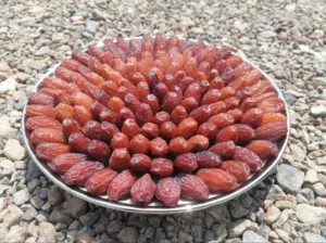 مطلوب مطلوب مطلوب مطلوب جدايه من حلال الجواميد للتربية