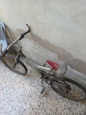 باسكليت للبيع