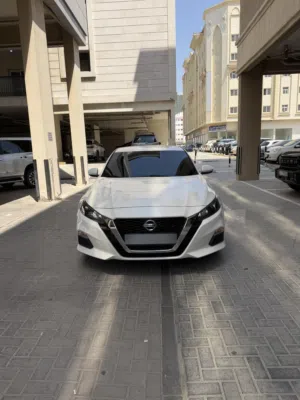 التيما 2022 خليجي بحالة الوكاله