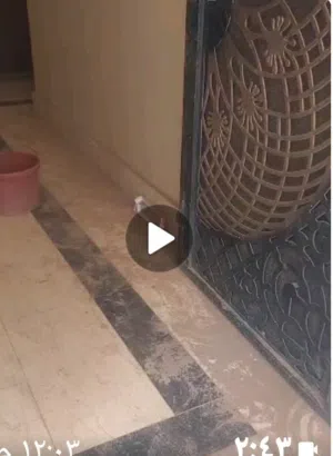 شقق للايجار