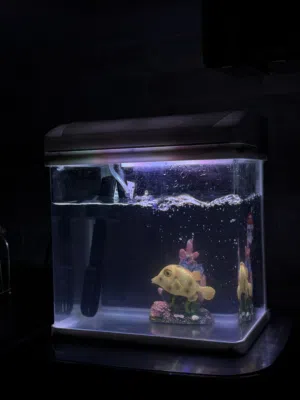 FISH AQUARIUM