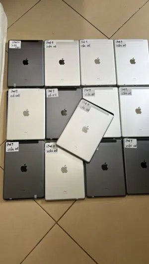 iPad 9th 256Gb