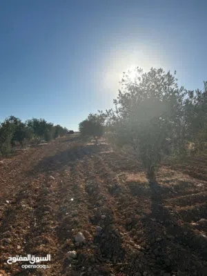 Mixed Use Land for Sale in Madaba Thiban