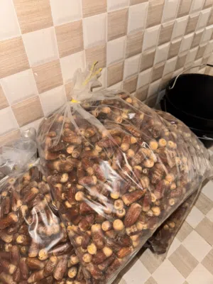 تمر نغال فاخر