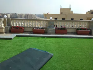 لقطة اسكن فى بنت هاوس تشطيب فاخر الحى الثالث افضل احياء الشروق بحري صريح