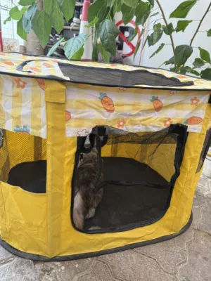 خيمة ومنزل للحيوانات (قطط/كلاب) ذو ابواب عديدة ومريحة