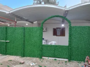 تنسيق حدائق وفلل وقصور ومنازل وملاعب