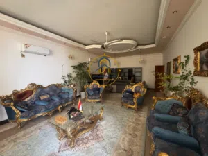 بيت حديث للإيجار البراضعية ثاني عقار عن شارع سيد امين يصلح للشركات والمكاتب وكافة الانشطة التجارية