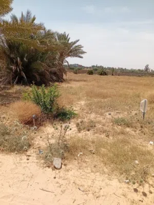 أرض سكنية بها شهادة عقاريه