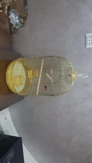 قفص جديد عصافير مش مستخدم