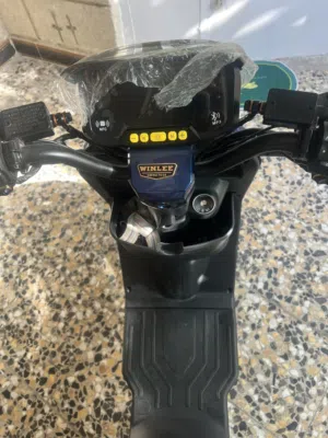 R11 موديل 2026