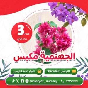 نوادر جهنميات مشتل الأرياف ، ألوان وأصناف مميزة من الجهنمية المتحملة للحرارة المكبس شاترا الصينية