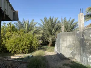 مزرعه للبيع فرص
