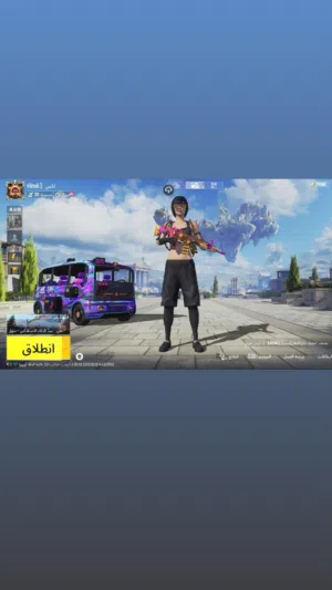Pubg Accounts and Characters for Sale in Hebron