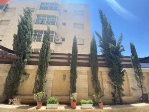 شجر سرو إيطالي