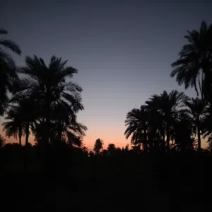 علي الكطراني