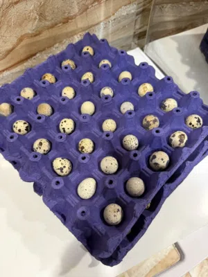 بيض فري طازج