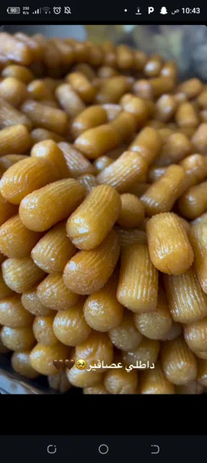 داطلي البصره