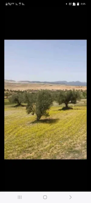 Mixed Use Land for Sale in Tunis Other