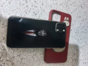 Apple iPhone 11 Pro Max 256 GB in Basra