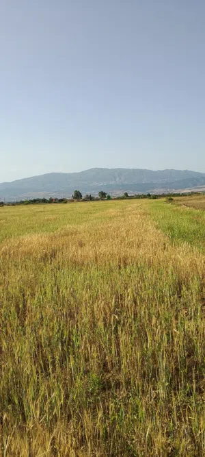 Mixed Use . 4000 m2 . Landlord0