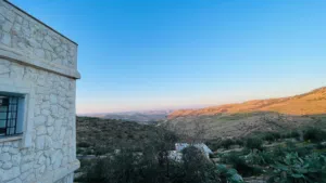 4 Bedrooms Farms for Sale in Zarqa Birayn