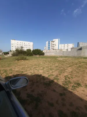 ارض فيها بير 500 متر أوراق سليمه