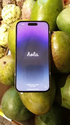 Apple iPhone 14 Pro Max 512 GB in Hebron