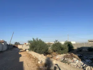 Land . Libya . Landlord4