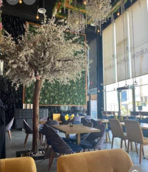 استشاره وفتح مشاريع كافيهات ومطاعم ومقاهي ومحلات فطائر من الصفر    Consultation Business