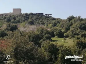 Mixed Use Land for Sale in Ajloun Downtown