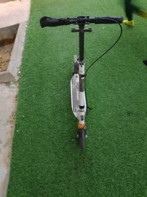 نوعه نانقوت