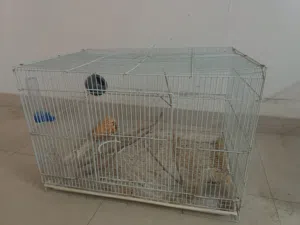 قفص طيور كبير