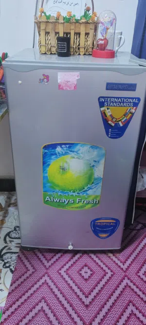 ثلاجة حجم صغير