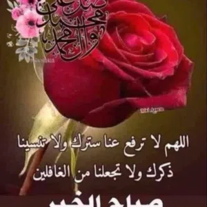 امير ابو علاء