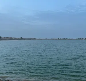 SAEED AlAli king