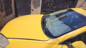شيري استرا 2015